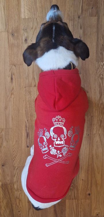 DOGGYZSTYLE Denim Jacke Für Hunde - Hundeweste Mit Kapuze Für Kleine Bis Mittlere Hunde, Größe XXL