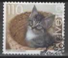 Schweiz / Verena Wolgensinger: Katze im Korb (11