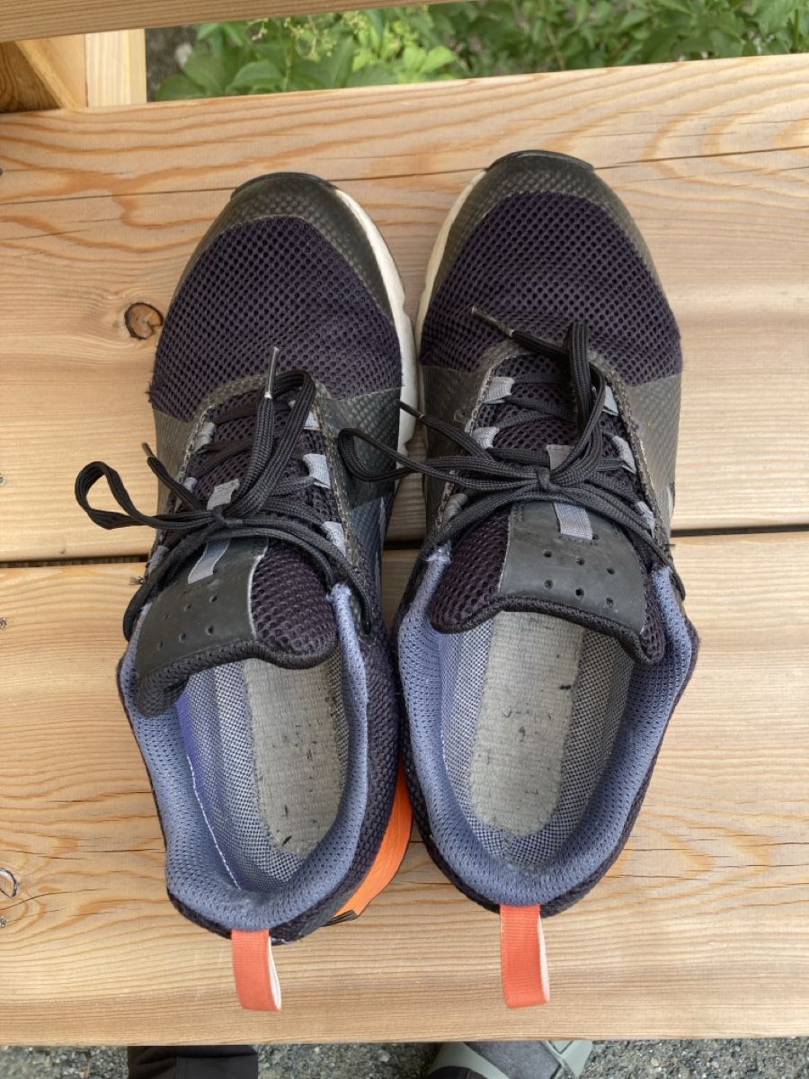 Adidas Scarpe da uomo: Trekkingschuhe Adidas Terrex – Usato da Guarda venduto da molemolo