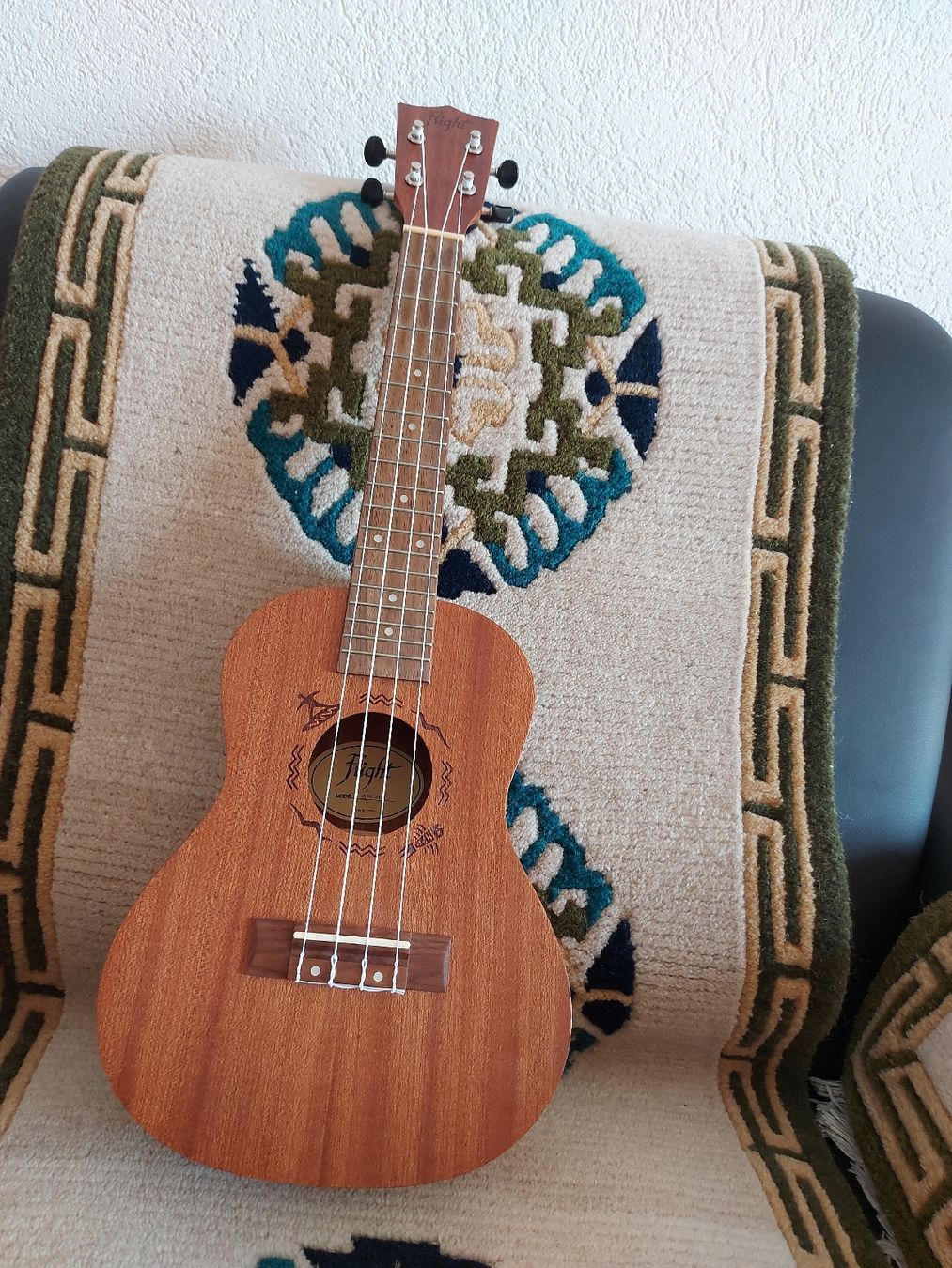 Musikinstrumente: ukulele  – Gebraucht aus Lengnau BE von nga_fq6t