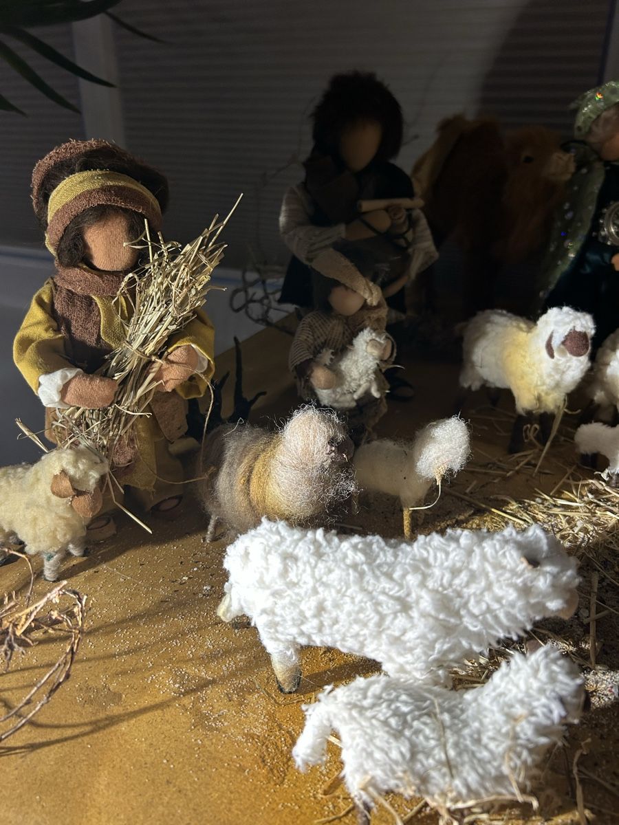 Tutte le decorazioni: Krippe mit sehr vielen Figuren – Usato da Niederhasli venduto da betscharten 5