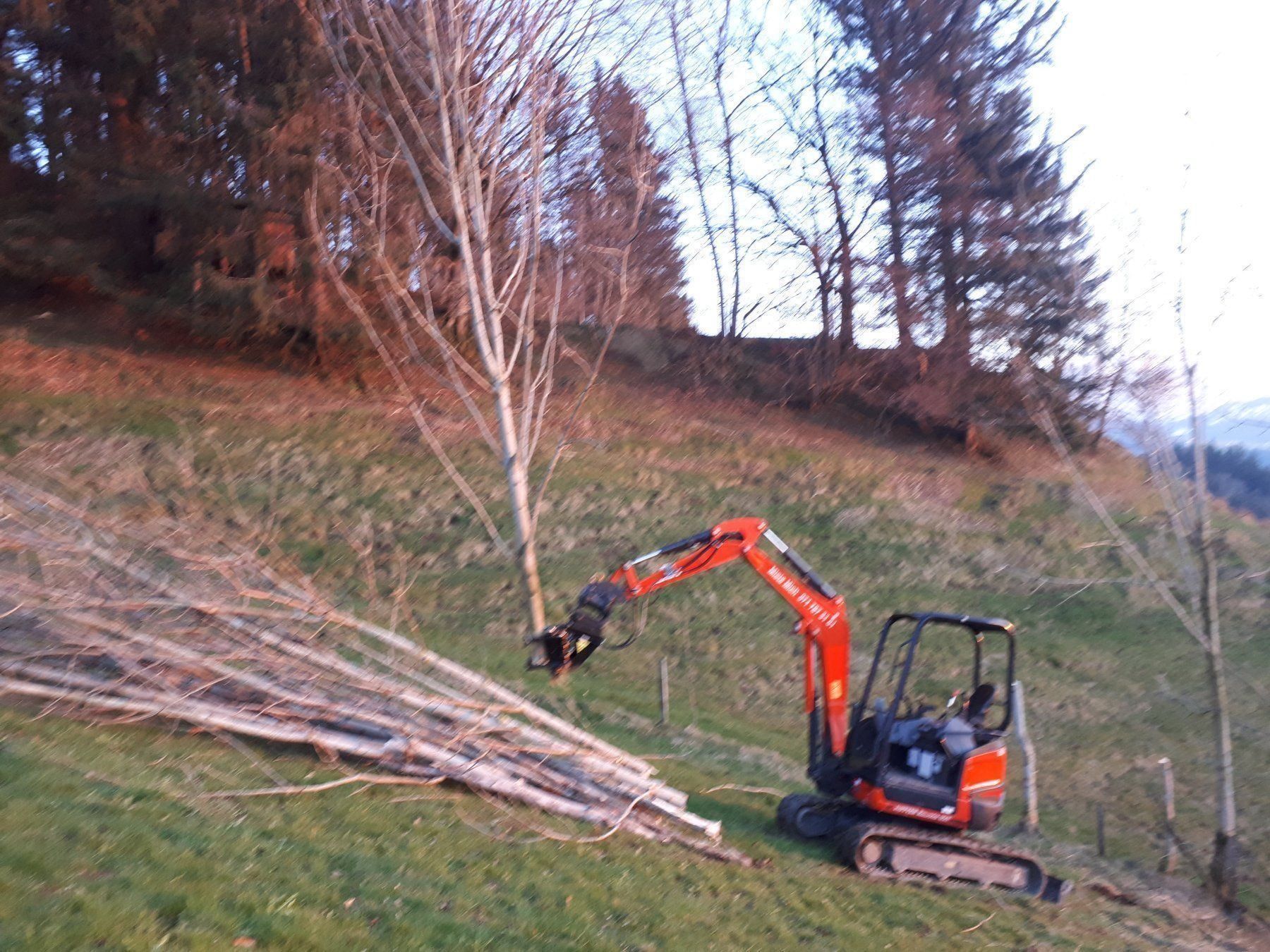 Pinze: Schneidgreifer JAK 200 Gen4 – Nuovo (secondo la descrizione) da Haslen AI venduto da Wildtech 6