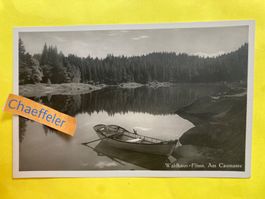 Waldhaus-Flims. Am Caumasee