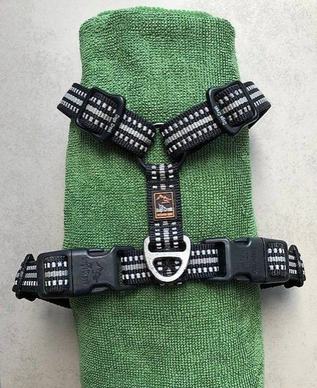 Kletterausrüstungen: Harnais chien Dogs Creek taille S – Neu (gemäss Beschreibung) aus Le Crêt-p-Semsales von staglione69