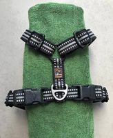 Harnais chien Dogs Creek taille S