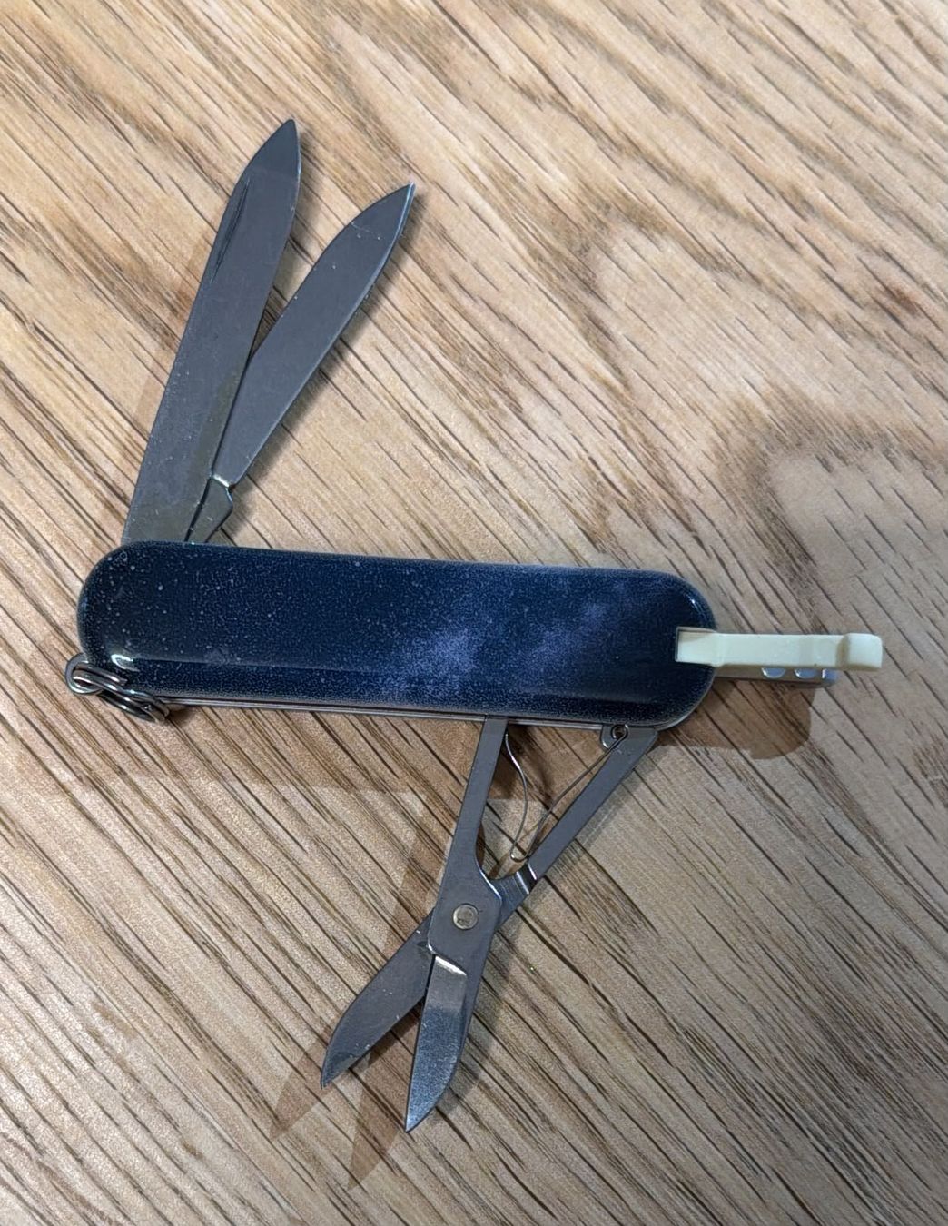 Victorinox Coltelli tascabile: VICTORINOX SACKMESSER – Usato da Zürich venduto da Frei-Occasionen 1