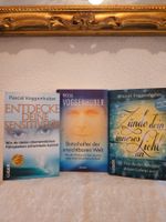 Pascal Voggenhuber Bücher Set