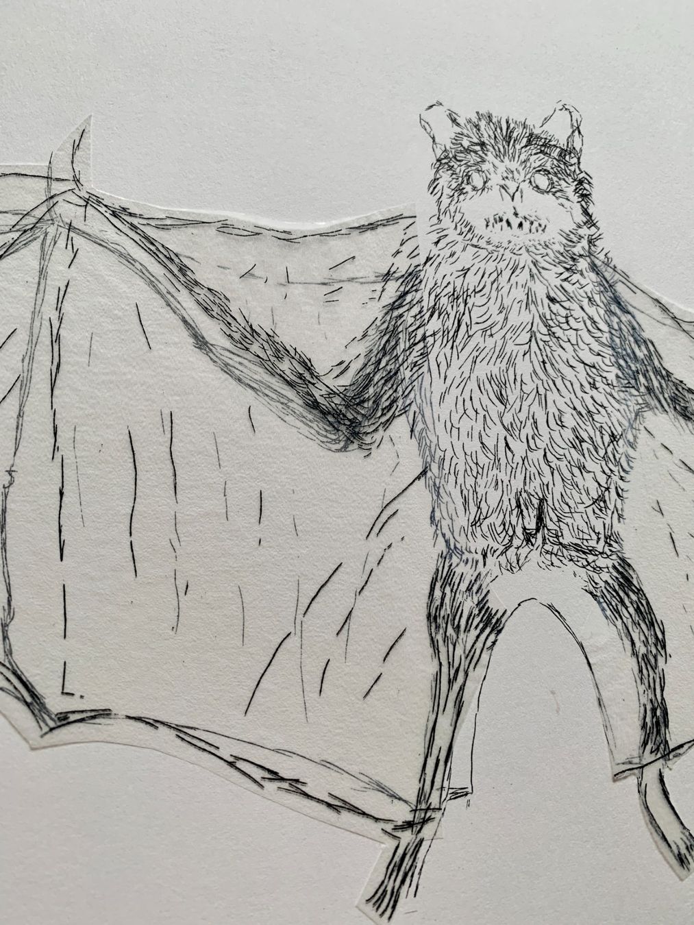 Grafiken & Lithographien: Kiki Smith - Lithographie Bat – Gebraucht aus Regensdorf von JoergR 3