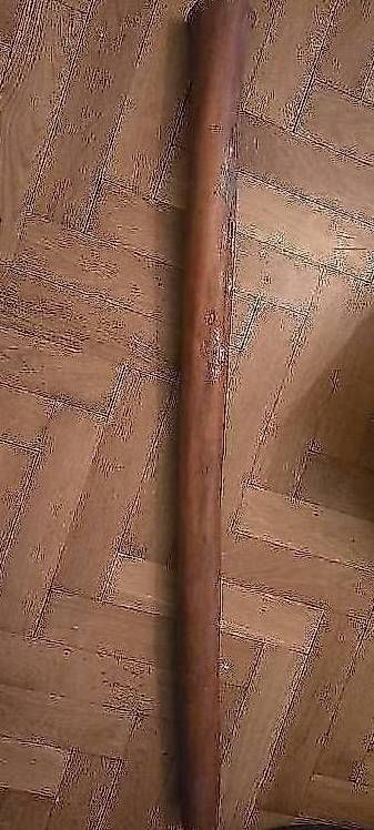 Strumenti musicali: Didgeridoo – Usato da Basel venduto da Mahapo 1