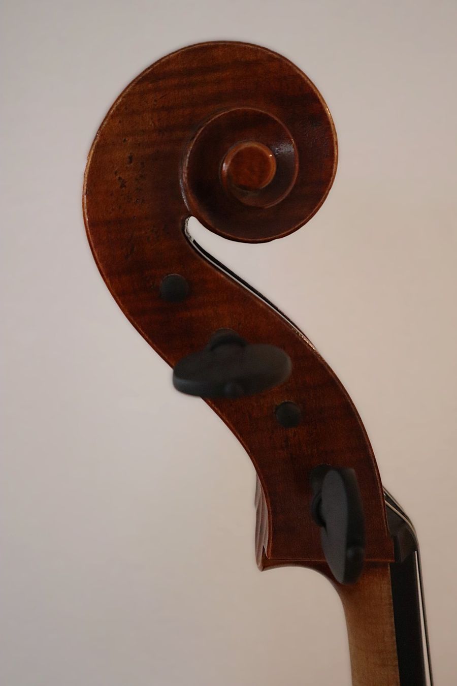 Strumenti musicali: Lothar Semmlinger 135A Cello 4/4 inkl. Koffer & Ständer – Nuovo (secondo la descrizione) da Gossau ZH venduto da GimK_4er 3