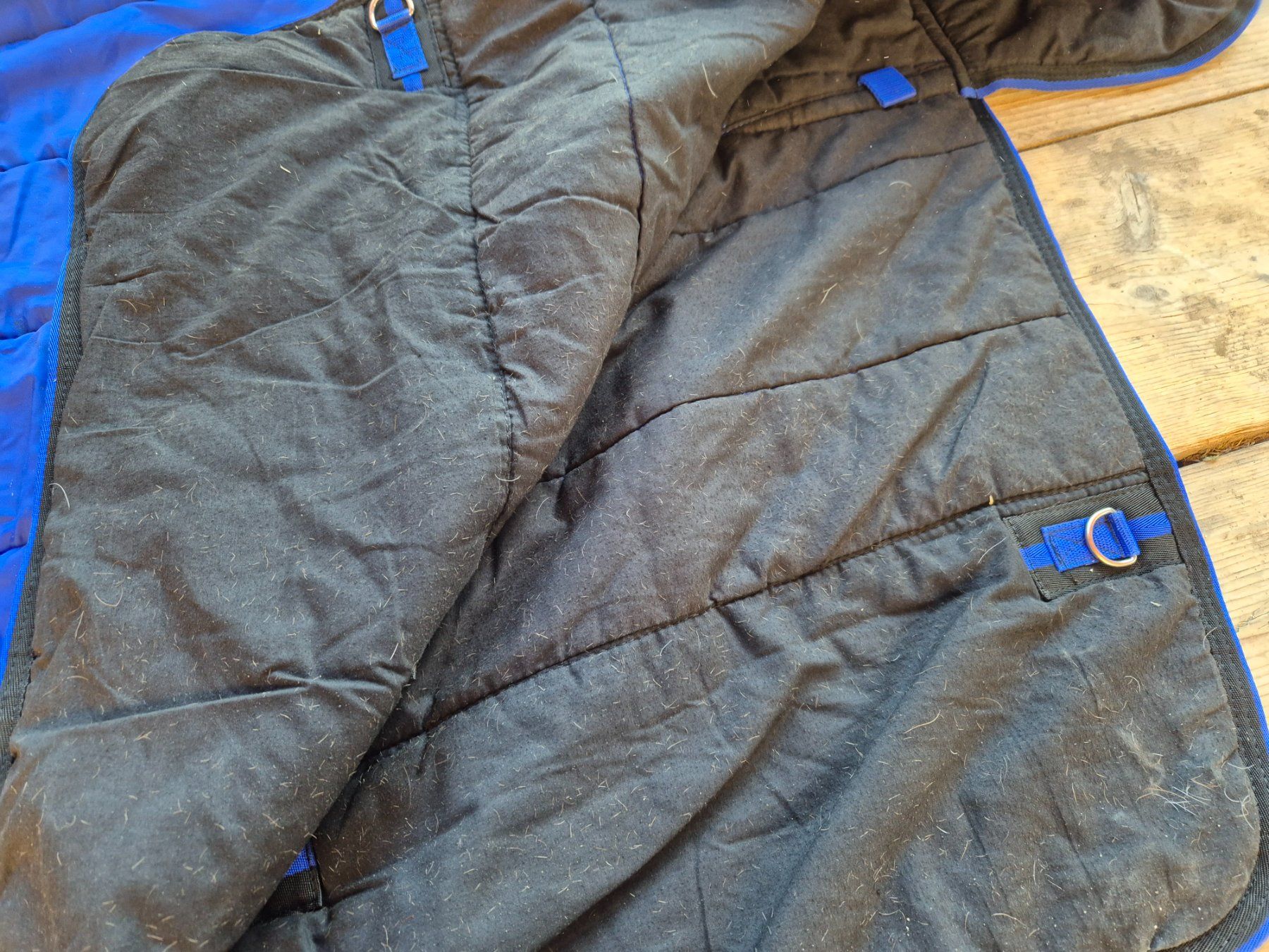 Zaumzeug & Halfter: Stalldecke 145 – Gebraucht aus Meggen von Orrinka20 1