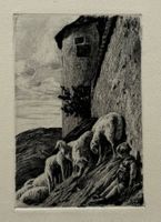 Orig. Radierung - Graubünden, Engadin, Schafe (28 x 15 cm)