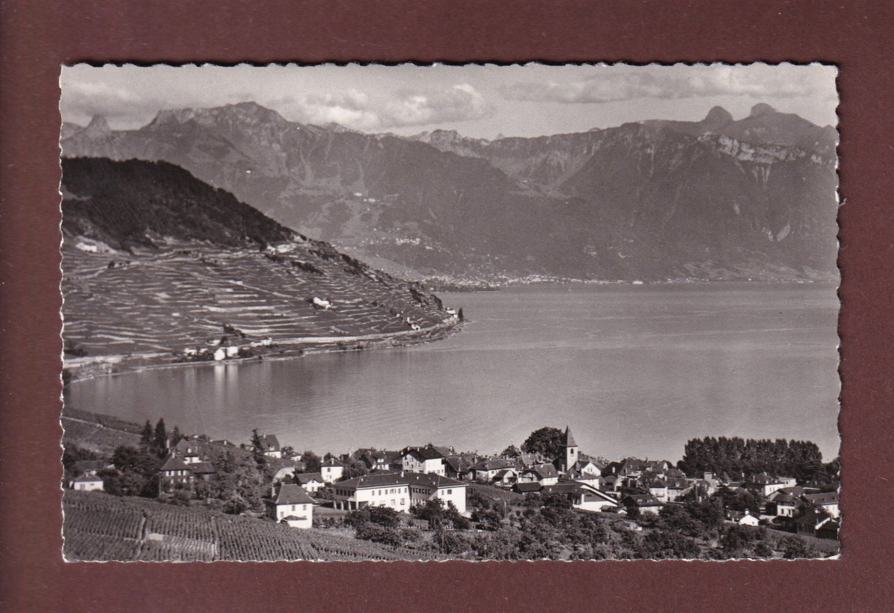 Cartoline postali: CULLY et les Alpes - 1964 – Usato da Pully venduto da nicecards-shop