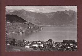 CULLY et les Alpes - 1964