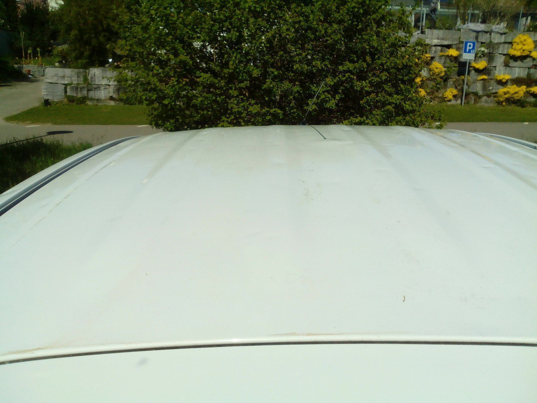 Suzuki Automobili: sparsame Stadtfloh – Usato da Büren an der Aare venduto da tabasco2000 6