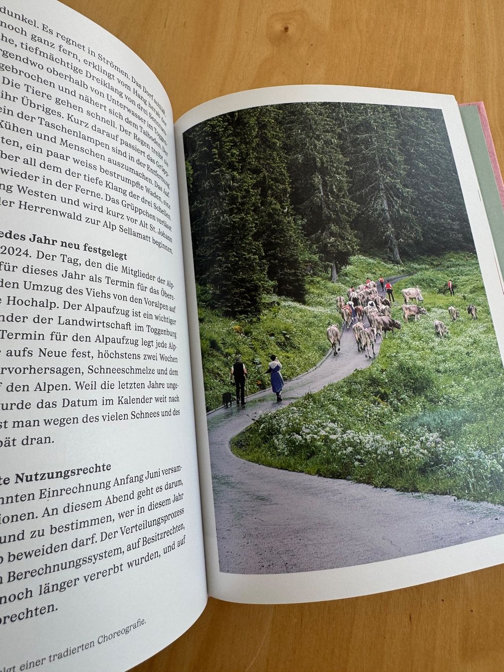 Libri: Buch Typisch Schweiz Lebendige Tradition Ostschweiz – Nuovo (secondo la descrizione) da Goldach venduto da Hibiskus23 1