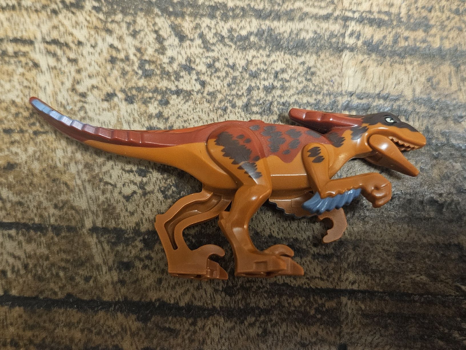 Lego Baukästen: lego pyroraptor01 Dark Orange Dinosaur Pyroraptor  – Gebraucht aus Confignon von Ecrofigs 3
