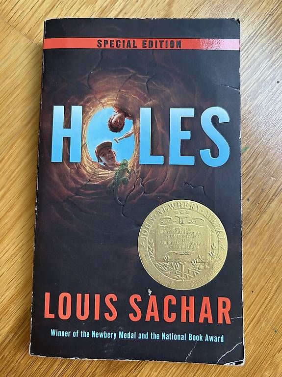 Livres: Holes – D'occasion à Zürich par Kascha.B.