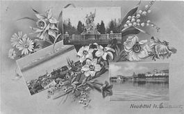 Neuchâtel, Mehrbildkarte