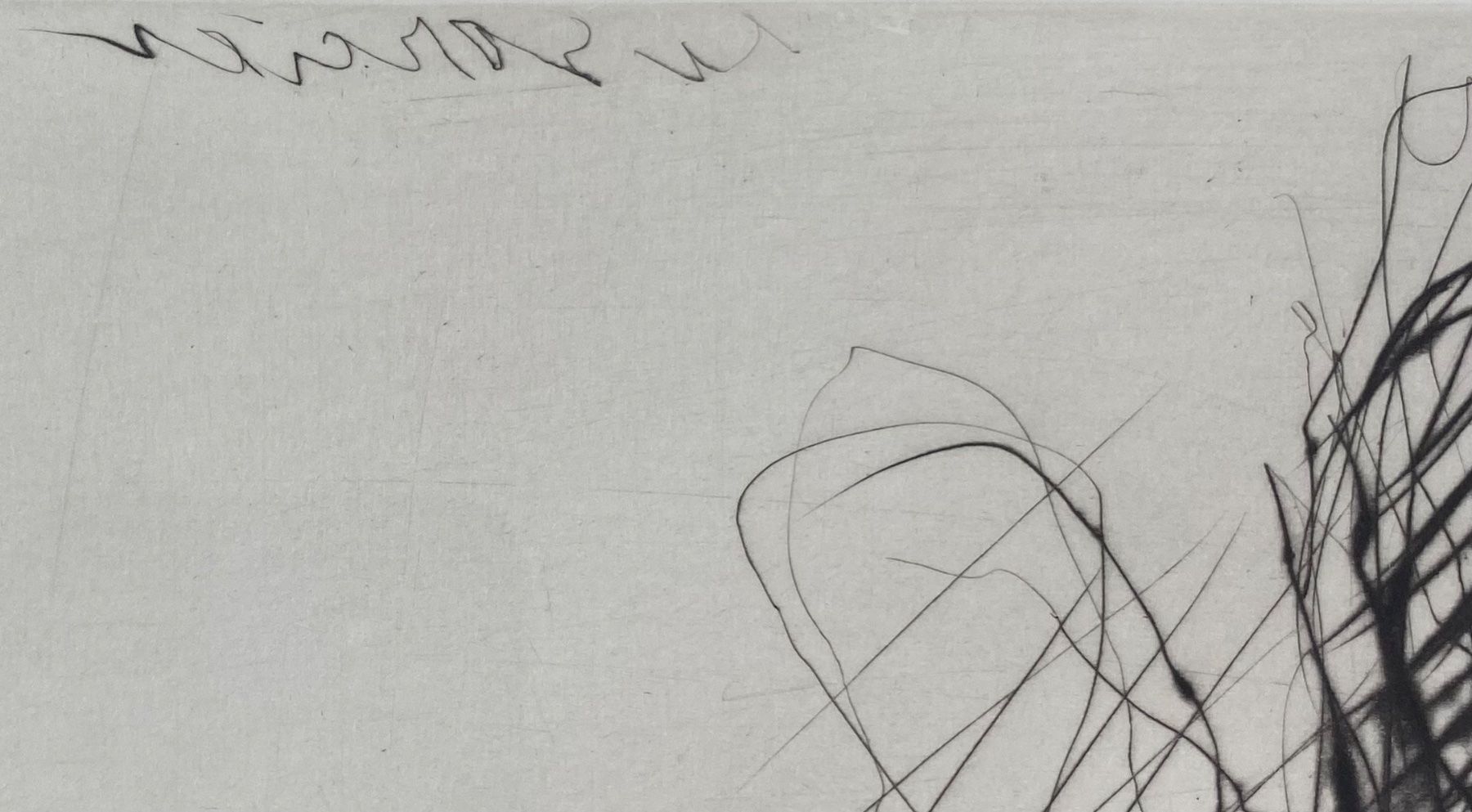 Grafica & Litografie: Rolf Iseli - Lithographie II – Usato da Basel venduto da bigmbh 5