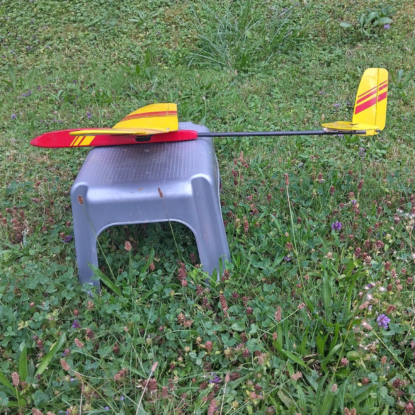 RC Modellbau: Birdy Ds von Decker Planes – Gebraucht aus Altdorf SH von Gerrymini 2