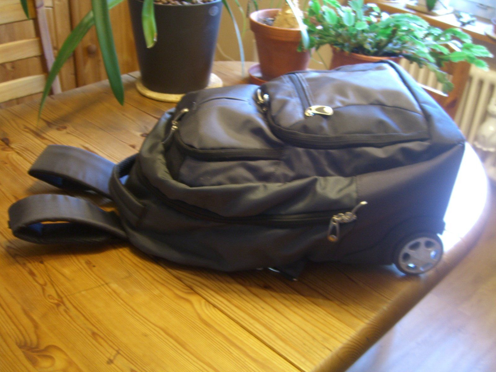 Rucksäcke: Rollrucksack, Laptop-Rucksack mit Rollen, Reiserucksack – Gebraucht aus Winterthur von Gaia 1