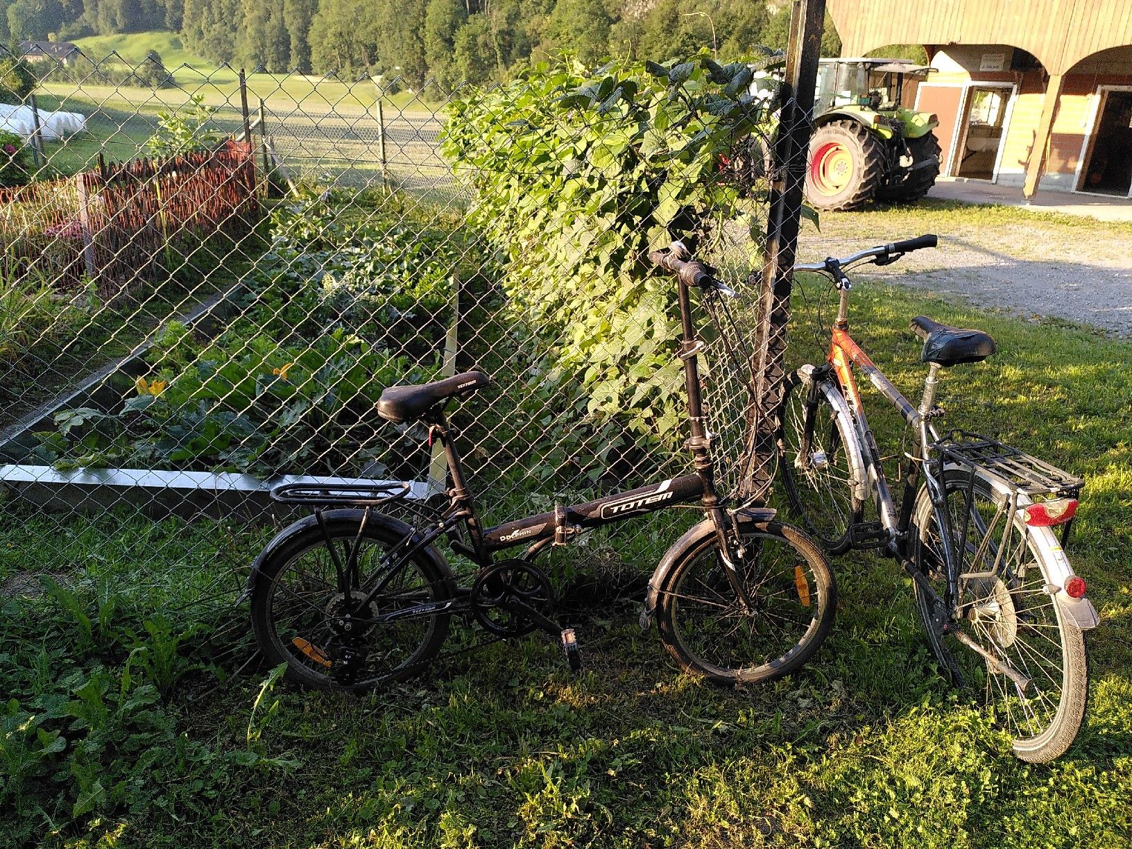 KTM Velos: Totem klapp KTM City, Velo's – Gebraucht aus Attinghausen von the_r2m8 2