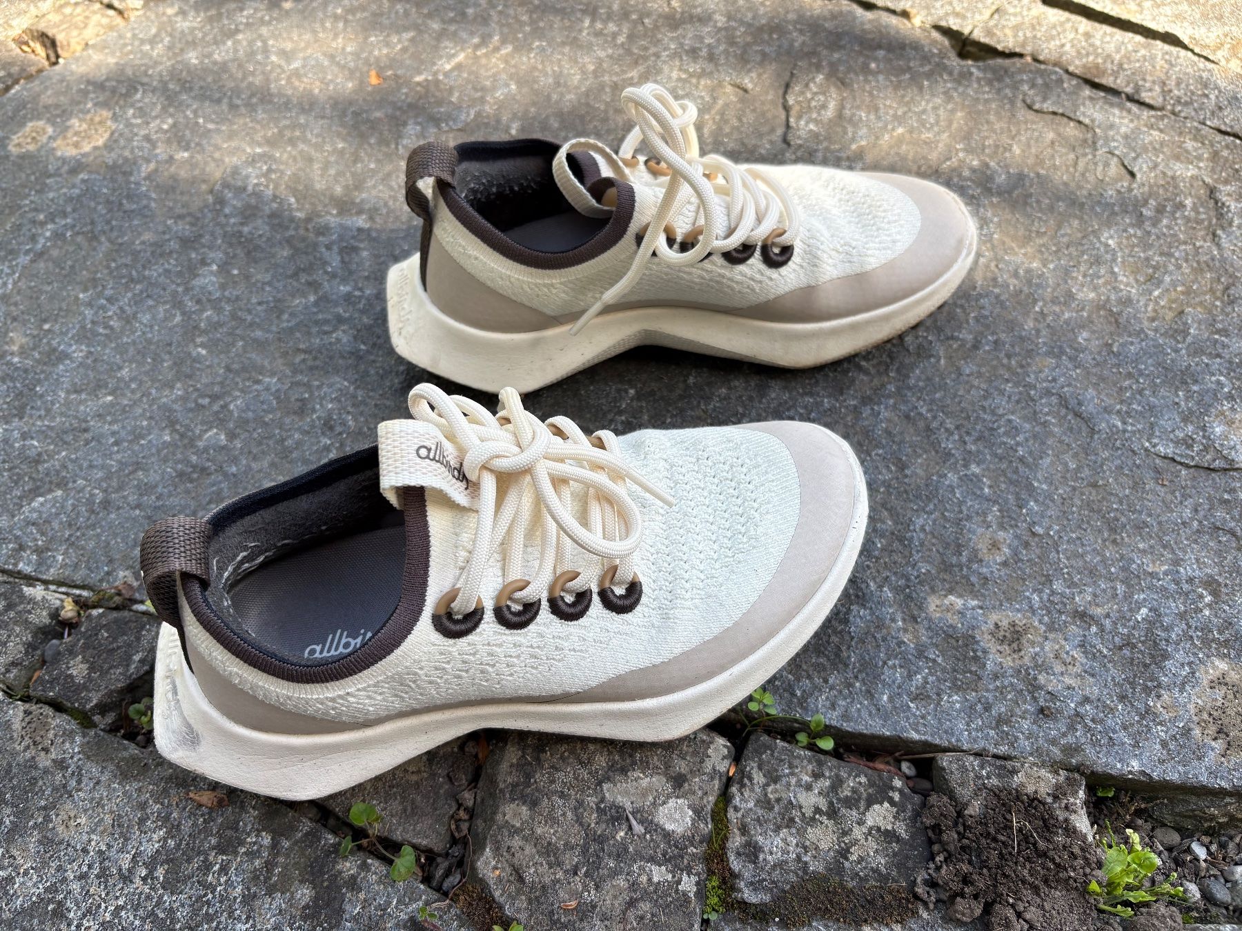 Damenschuhe: allbirds Sneaker - Tree Dasher 2 – Gebraucht aus Zürich von que_kf7d 1