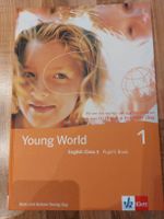 Young World English Class 3 
