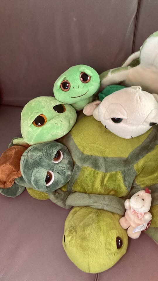 Jouets: Grosse Sammlung von Plüsch Schildkröten – D'occasion à Rudolfstetten par Stellina1975 2