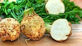 Céleri Rave Géante de Vérone  100g