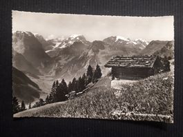 BRAUNWALD