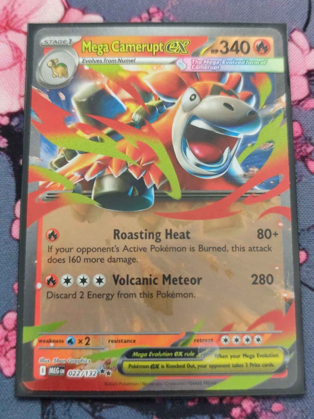 Pokémon Carte collezionabili: Pokemon Mega Camerupt EX EN – Nuovo (secondo la descrizione) da Schlossrued venduto da LAP2012
