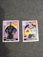 Panini Extra Sticker DUO