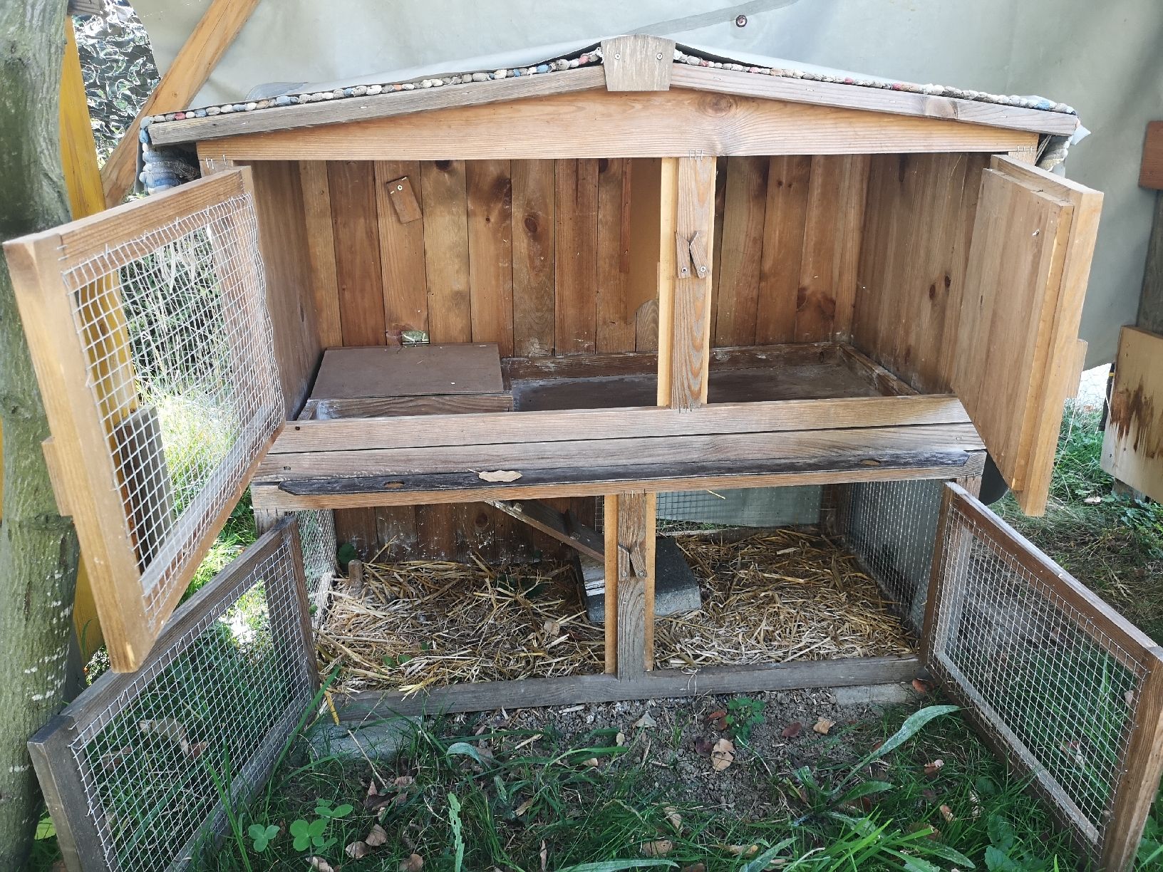 Cages, transport & sécurité: Stall – D'occasion à Rebstein par Wersee 2