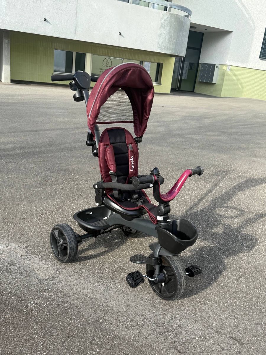 Lionelo Veicoli per bambini: Dreirad Kinderfahrrad – Usato da Rorschach venduto da kop_vg5y
