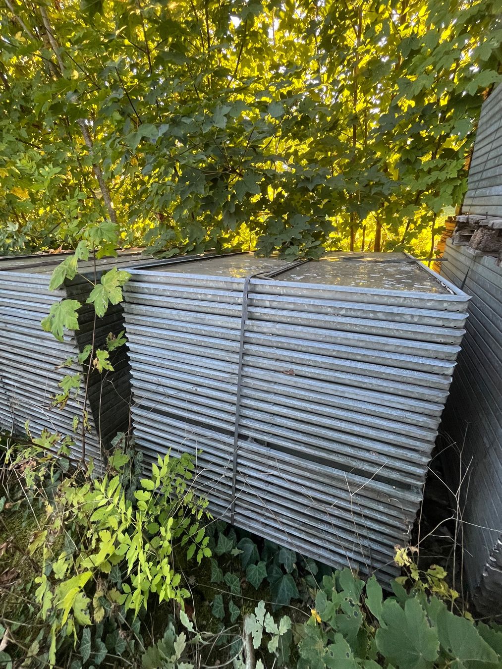 Fenêtres: Treibhaus-Fenster – D'occasion à Hägglingen par sch_n5lb