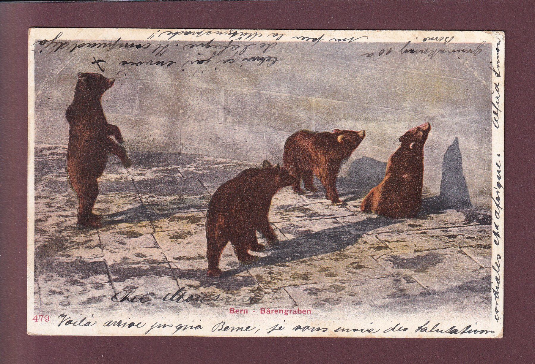 Cartoline postali: BERN - Bärengraben - 1903 – Usato da Pully venduto da nicecards