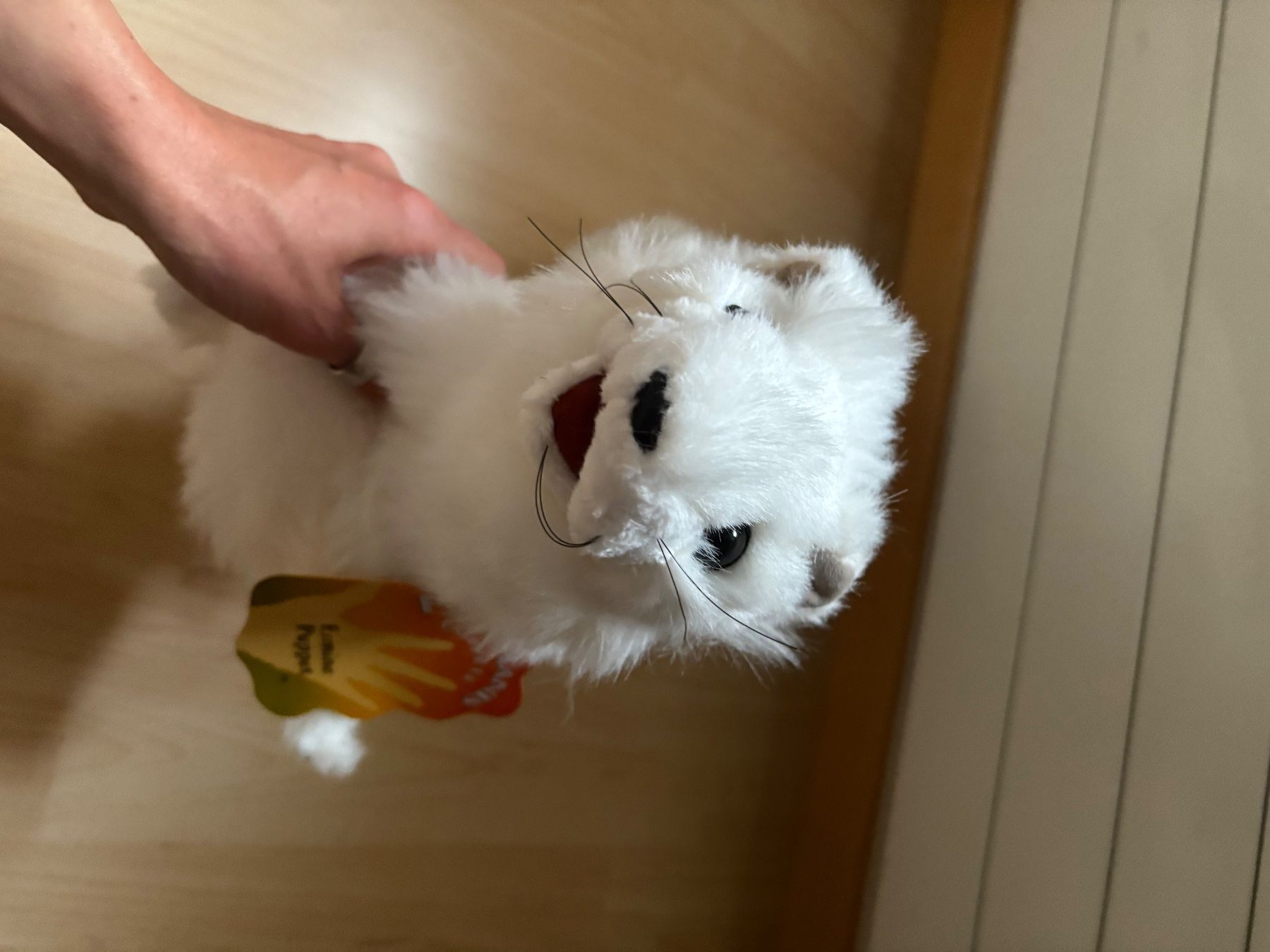 Giocattoli: Handpuppe – Nuovo e nell'imballaggio originale da Mollis venduto da skyline015 1