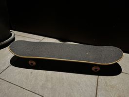*. SkAteboArd. *
