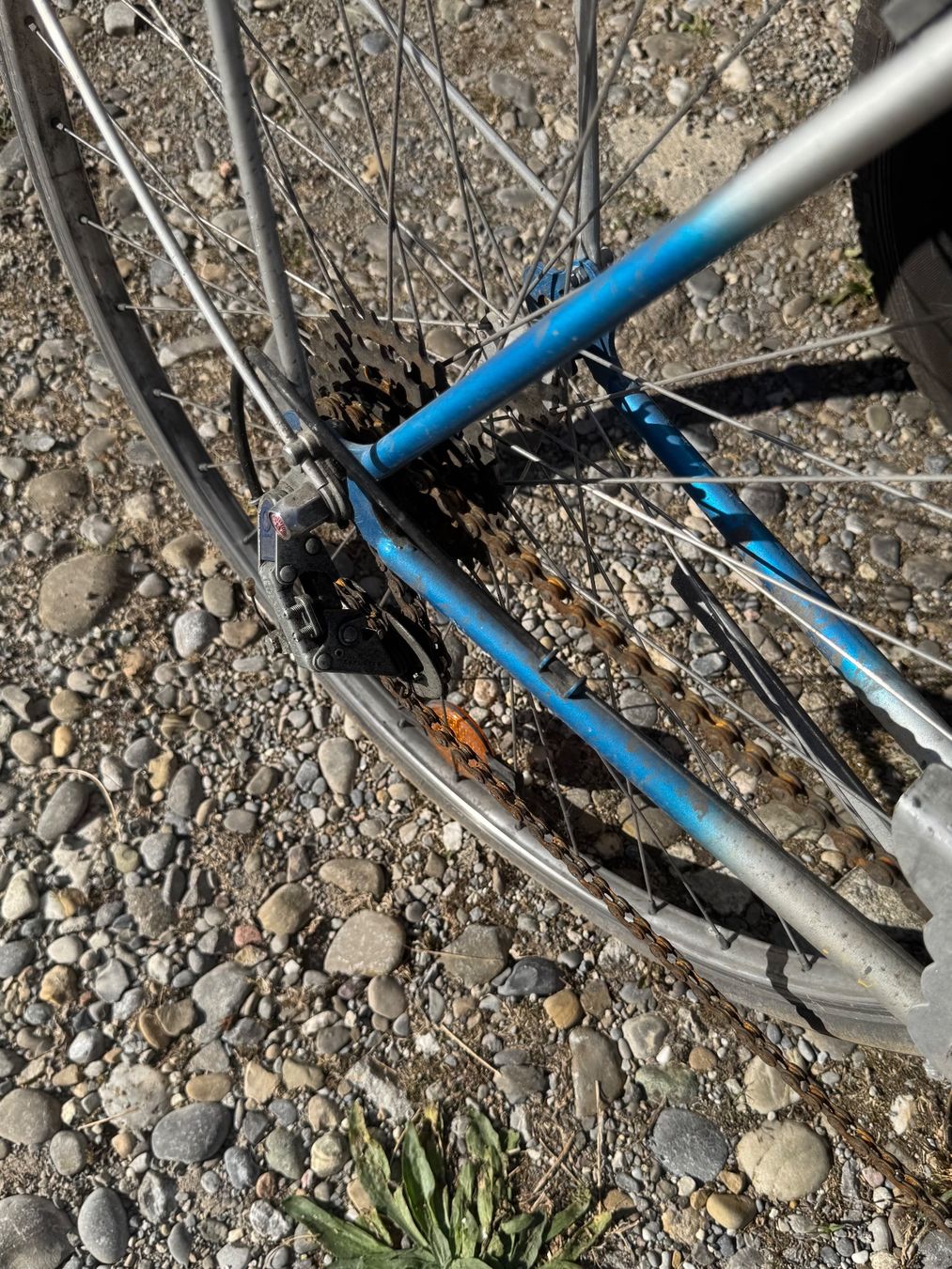 Vélos: Velo – D'occasion à Schlieren par Freundlich02 6
