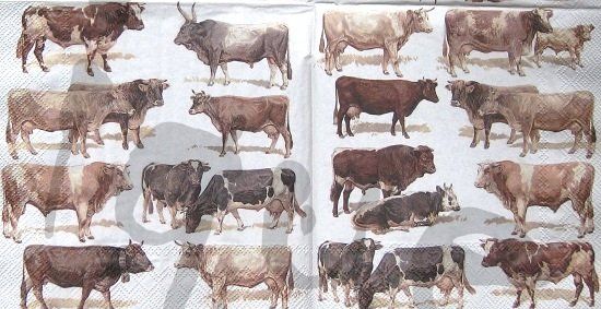 Servietten: Serviette cows (t291) 2Stk. – Neu (gemäss Beschreibung) aus Schlatt TG von kreativ-atelier