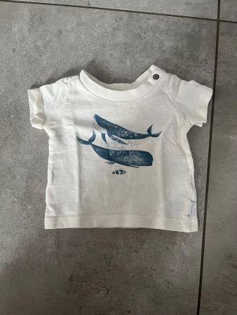 Noppies, T-Shirt, Baby Shirt, Wal, creme, blau, Gr. 56