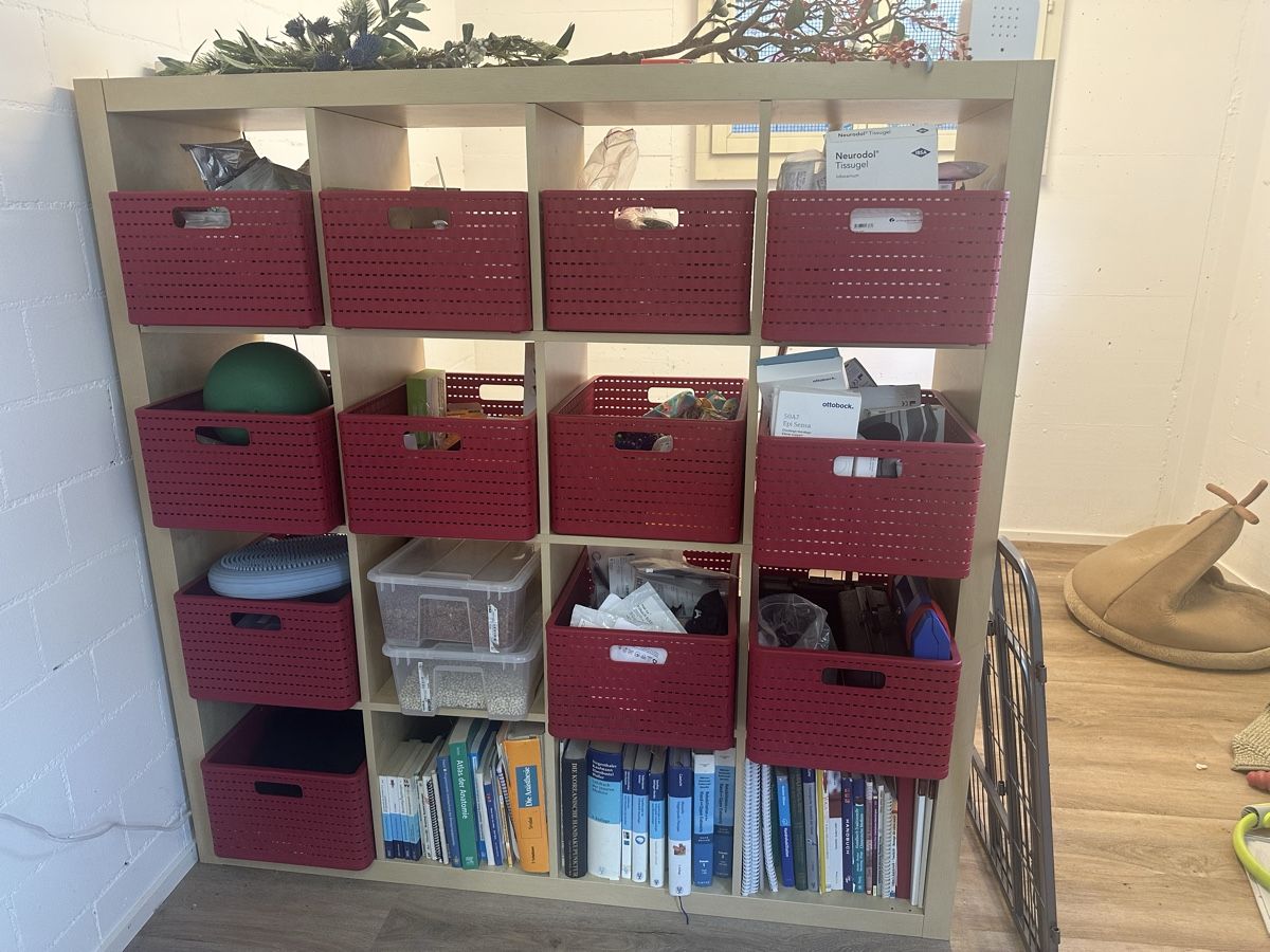 Ikea Armadi: IKEA KALLAX Schrank 4x4  – Usato da Weiningen ZH venduto da SilkeP