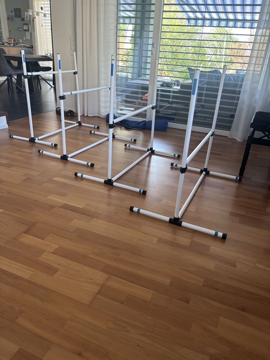 Giocattoli: Agility Hürden mit Tragetasche – Usato da Möriken AG venduto da Jamas76