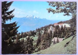 Rigi-Kaltbad, Blick auf Pilatus