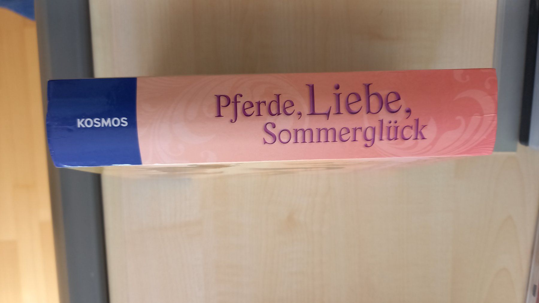 Libri: Mädchenroman / Jugendbuch / 360 Seiten – Usato da Steinhausen venduto da fal_zsm5 1