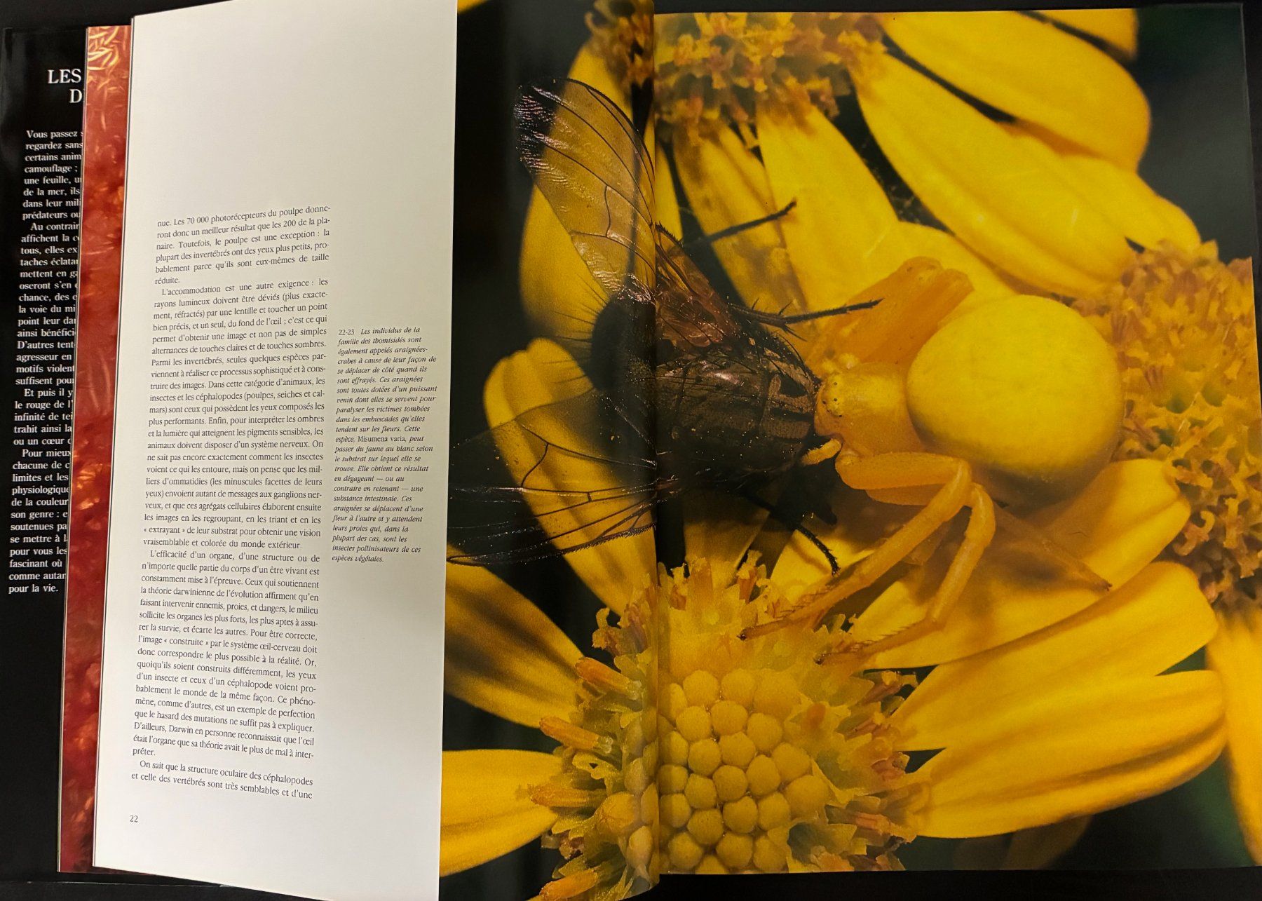 Libri: Les couleurs de la vie – Usato da Moutier venduto da lebadin 2