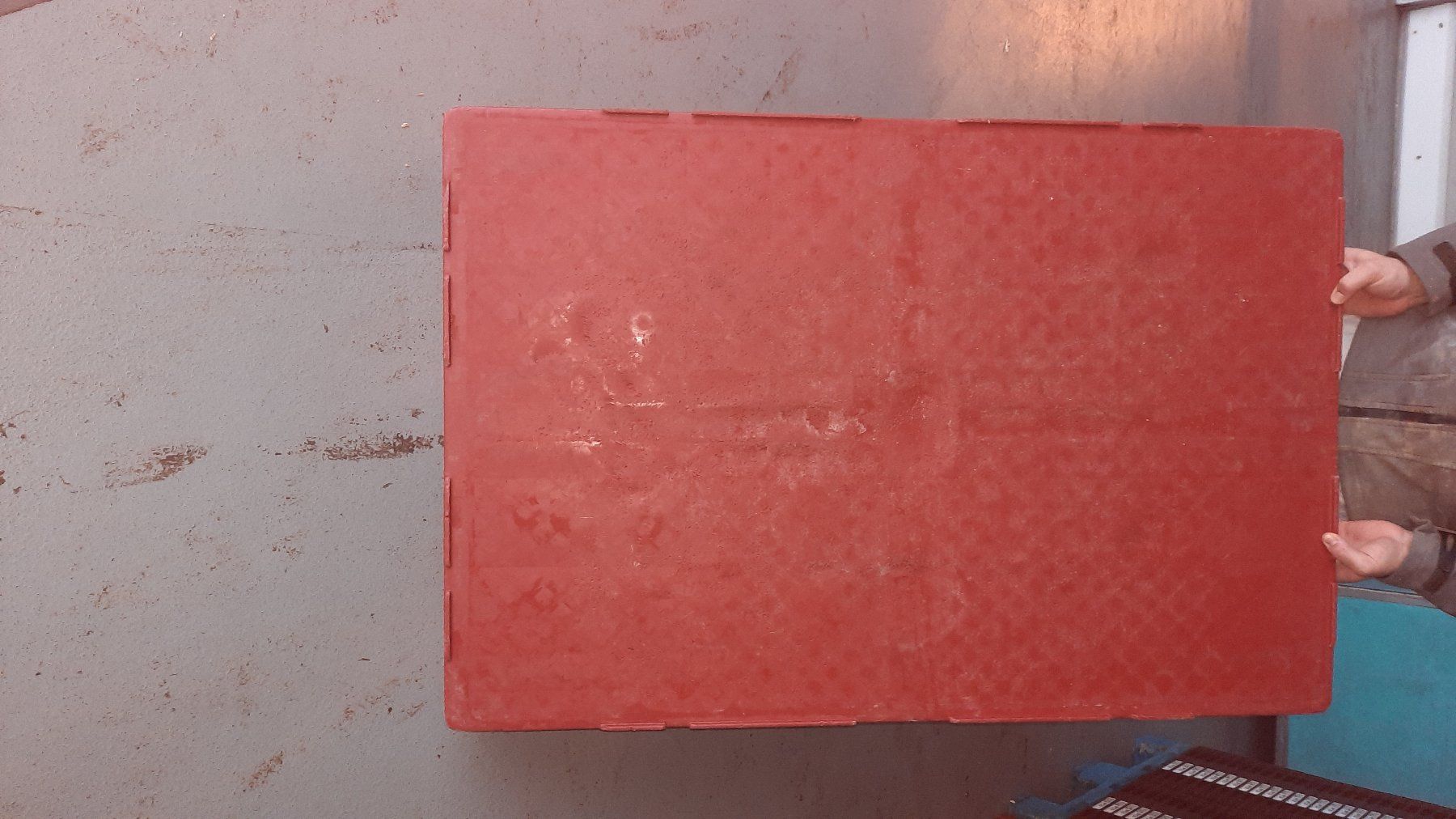 Paletten: Kunststoffpaletten – Gebraucht aus Kloten von Bertschi2007 1