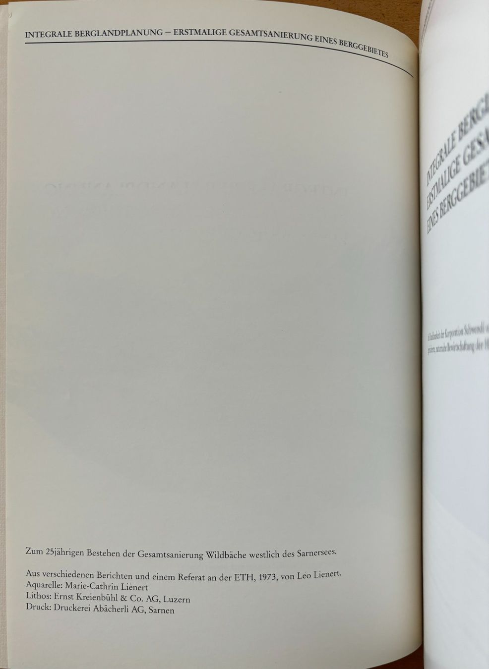 Libri: Integrale Berglandplanung – Usato da Sarnen venduto da Livres 2